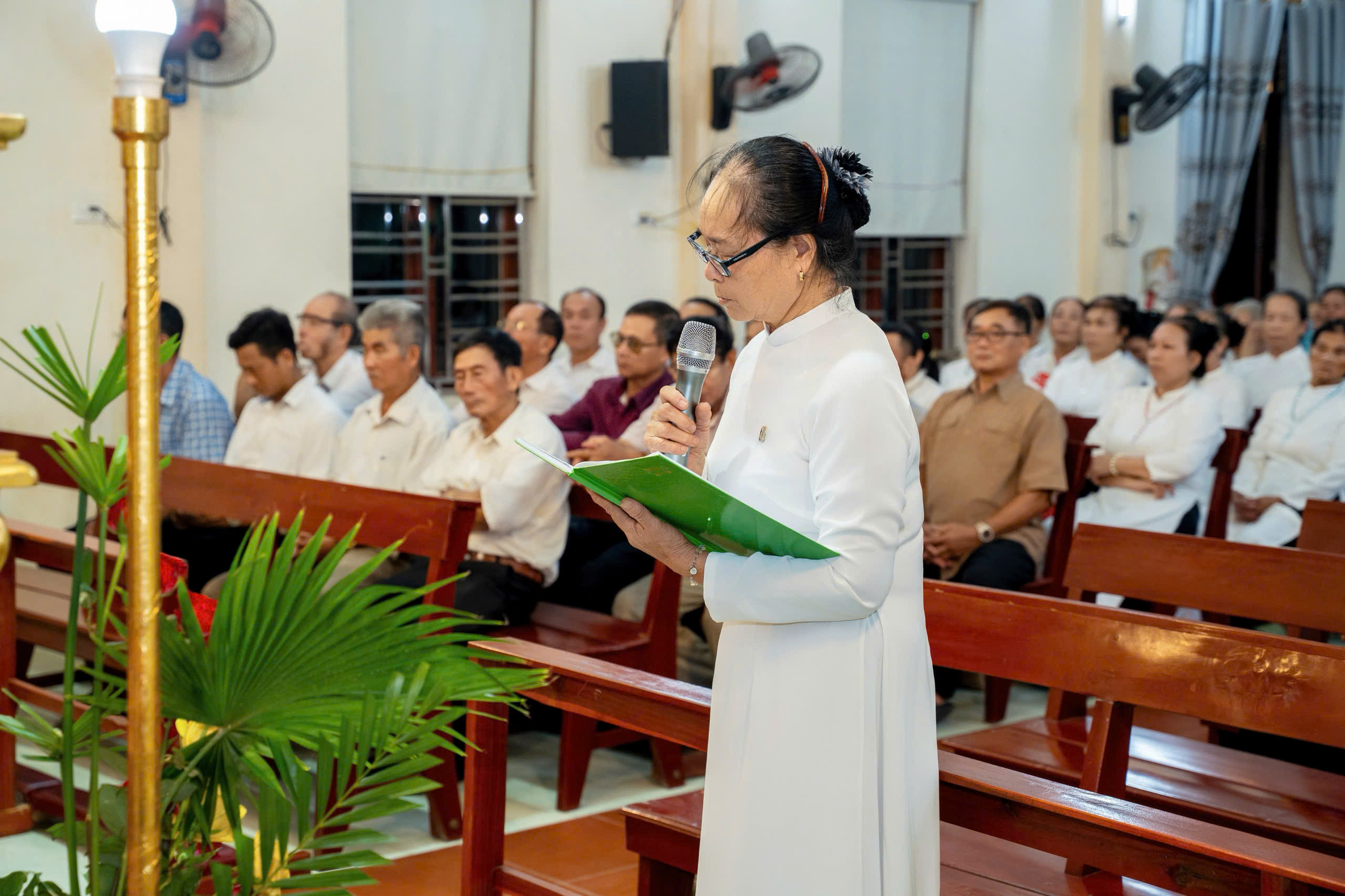 Photo-2